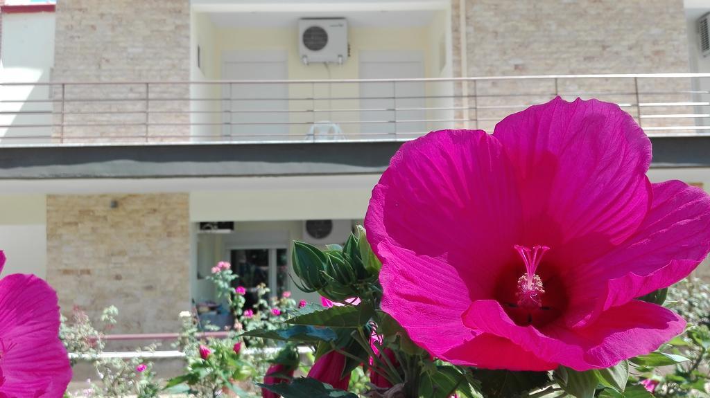 Familia Hotel Loutra Volvis Экстерьер фото